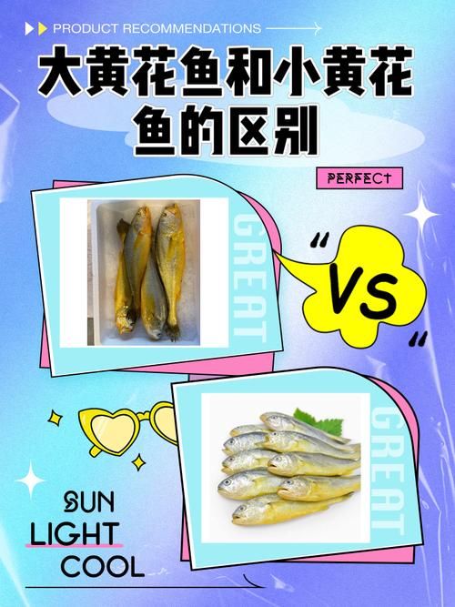 黄花鱼和小黄鱼的区别