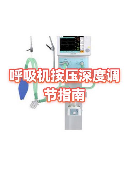 维持呼吸深度需哪脏功能