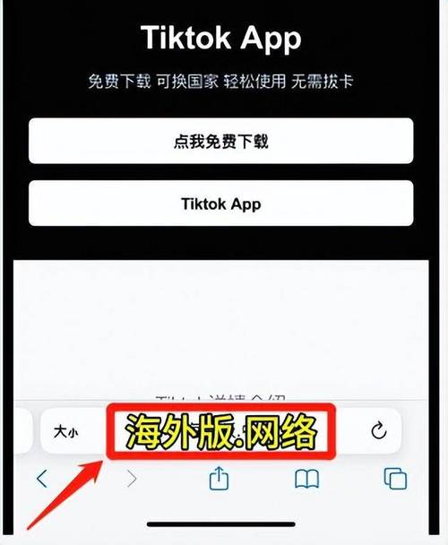 电脑如何下载tiktok国际版