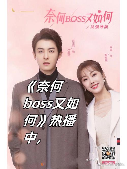 奈何boss又如何电视剧免费版