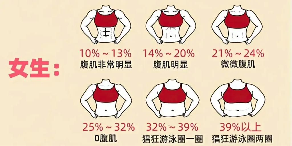 如何自测体脂率