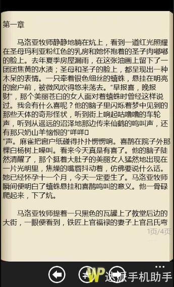 阿 v小说