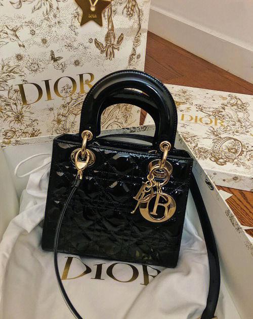 戴妃包是什么品牌的包包图标