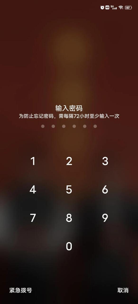 72小时强制输入密码