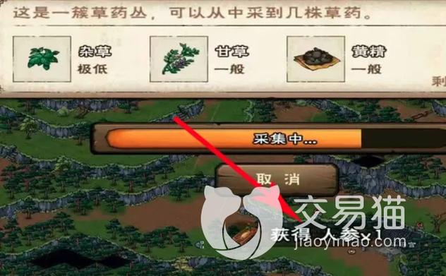 烟雨江湖人参