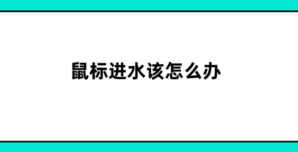 鼠标进水后怎么处理