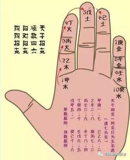 手指掐算年龄图解