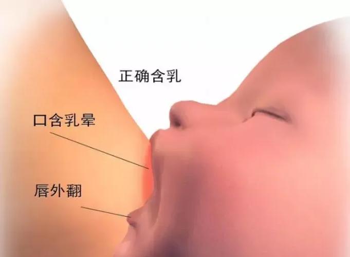 有没有哺乳期抽烟的宝妈
