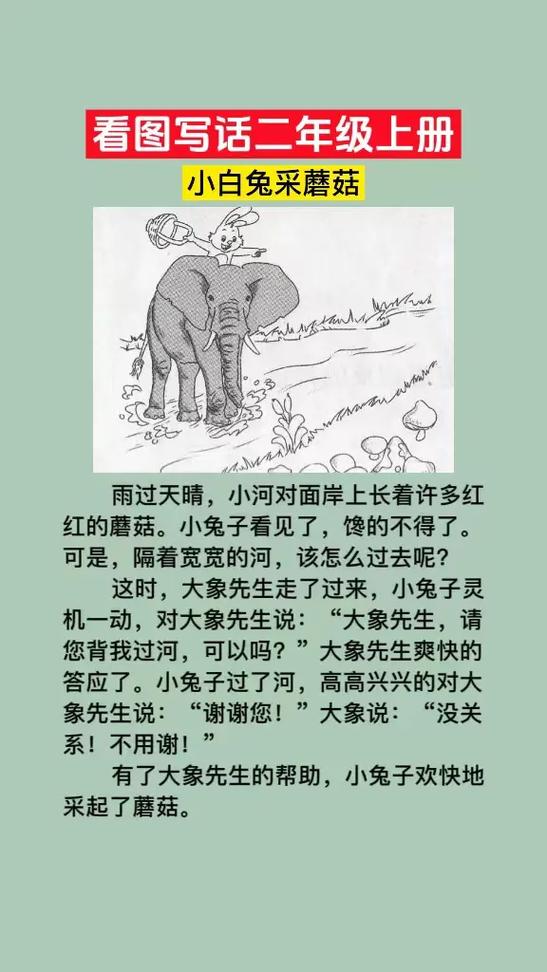 看图免子和大象图标