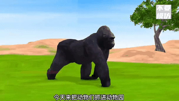 疯狂猴子跳舞视频大全