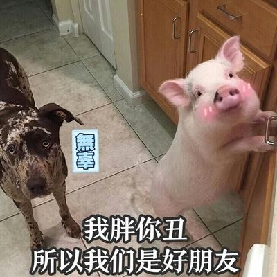 恶搞朋友表情包