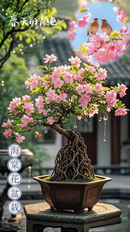 美好时光海棠广告