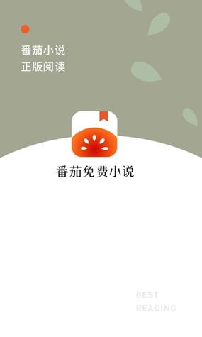 蕃茄小说极速板赚钱下载