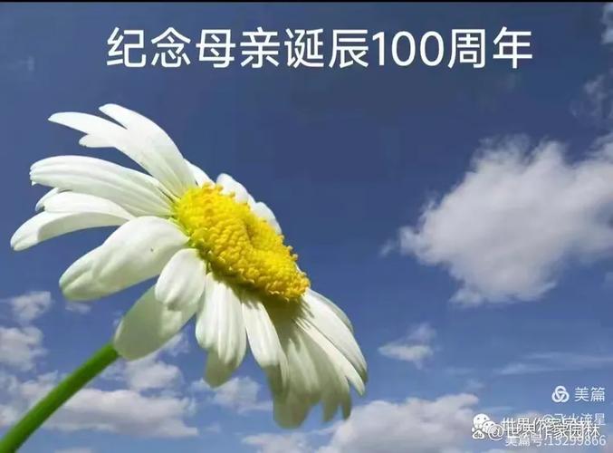 百年诞辰是什么意思