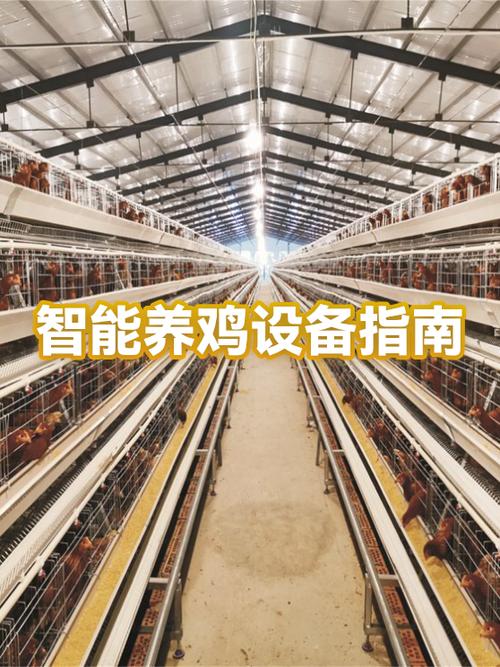 建立自动养鸡场的方法