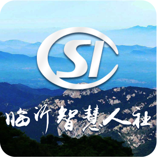 临沂智慧人社什么时候上线的