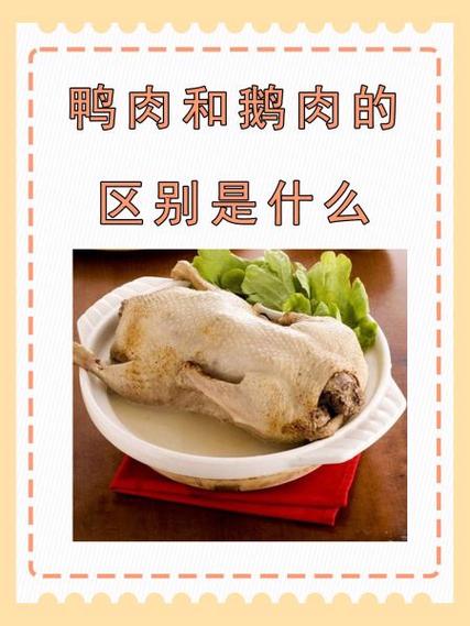 鸭肉和鸡肉的营养区别