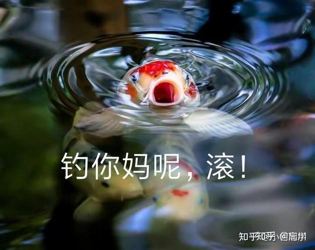 女人爱钓鱼是啥性格