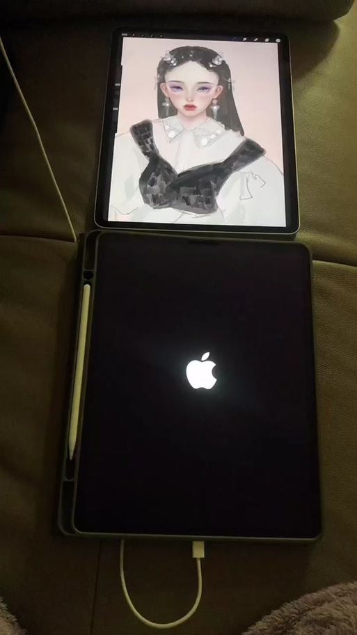 ipad充电一直白屏