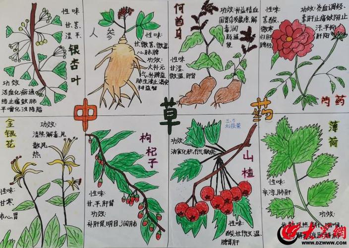 中医药趣味知识问答