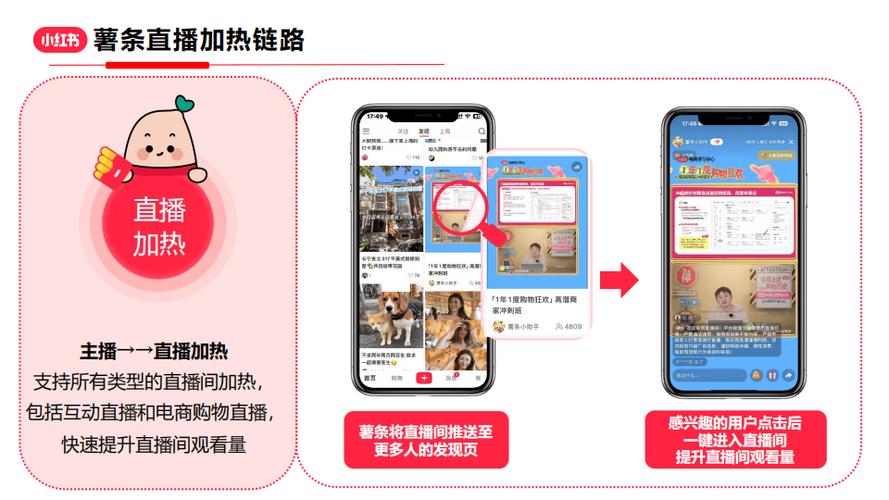 小红书都有什么内容