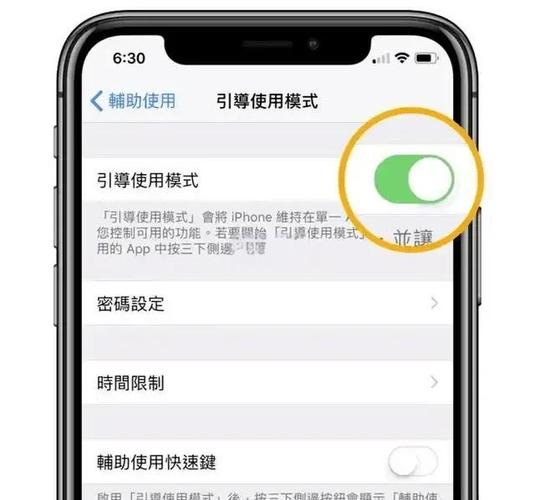 苹果引导模式