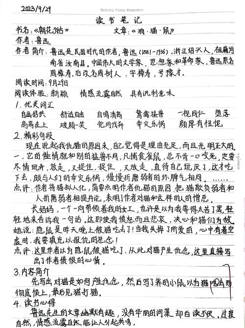 淘宝笔记张灿全文阅读