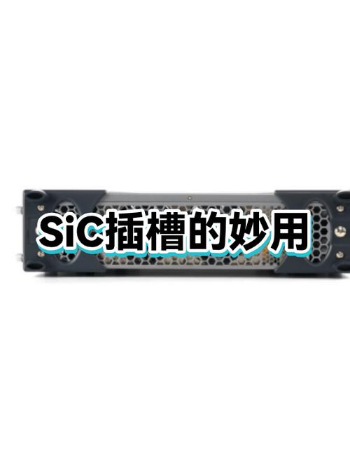 sic是什么意思截图