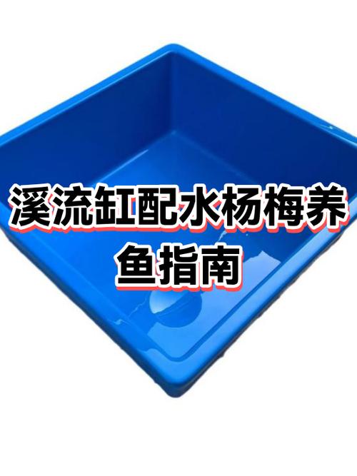 20方缸适合养什么鱼