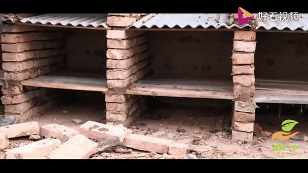 农村自建兔舍图片