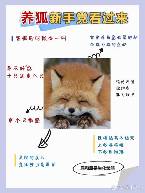 狐狸生产征兆有哪些