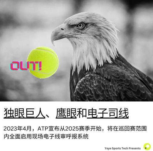 哪里可以观看《鹰眼》?