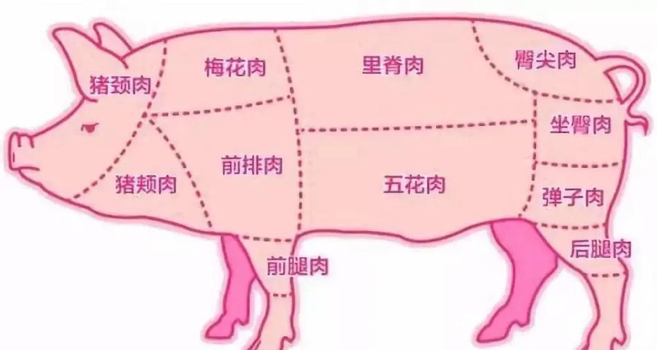 梅花肉好还是前腿肉好