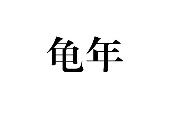 龟年是什么意思
