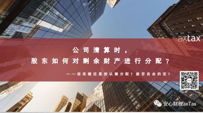 清算后剩余财产分配表怎么填