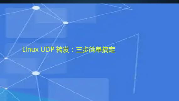 udp转发加速