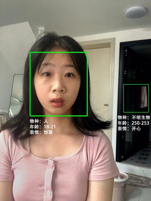 未检测到嘴巴人脸验证