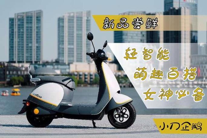小刀电动车TRIP是什么意思
