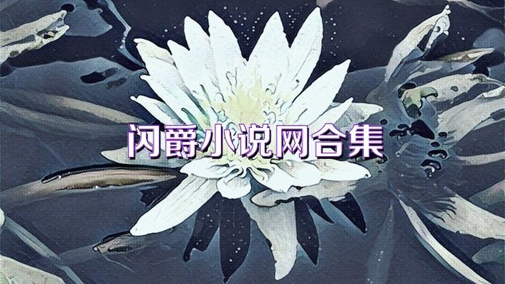 闪爵小说网手机版缩略图
