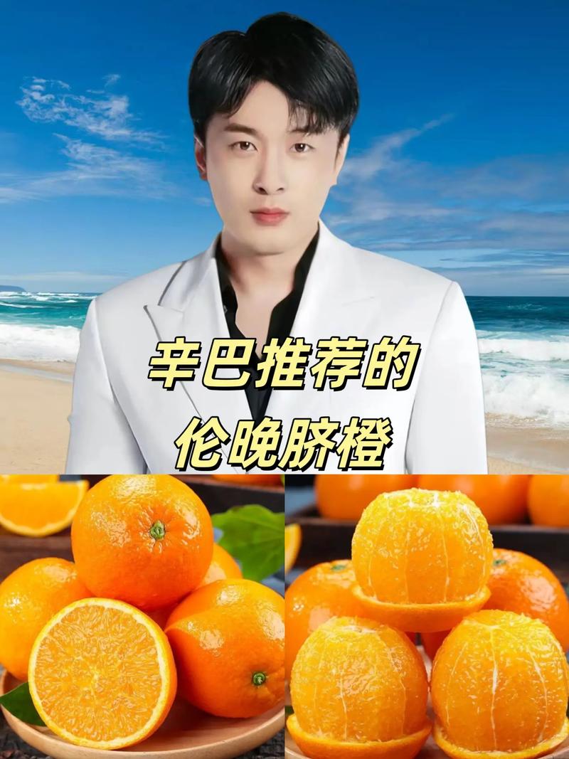 快手橙哥热门可靠吗