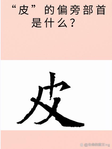 皮加什么偏旁