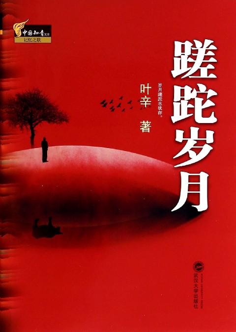 知青的蹉跎岁月感悟