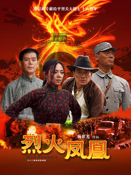 烈火凤凰电视剧在线观看