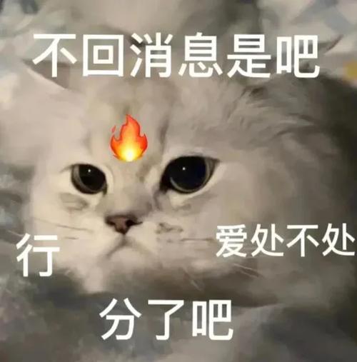 不回信息表情包