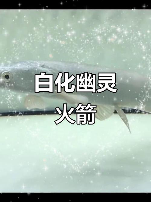 幽灵火箭