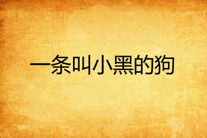 一只叫小黑的狗小说