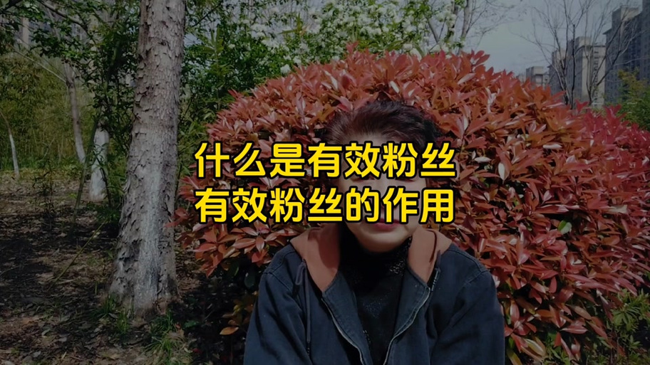 有效粉丝是什么意思