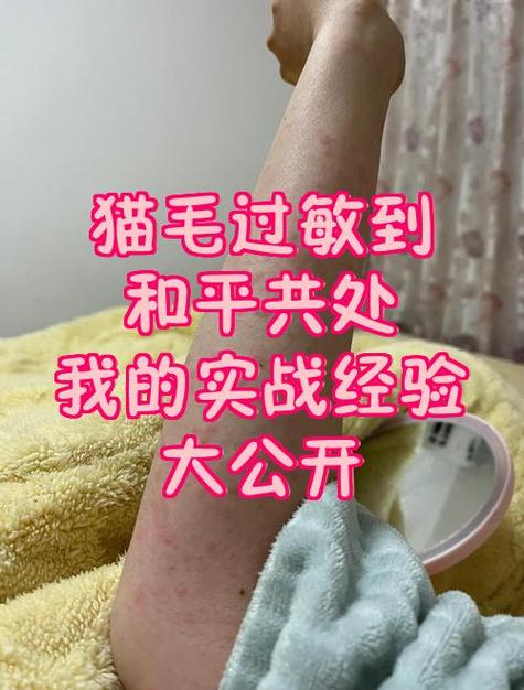 猫身上的毛结成疙瘩怎么办