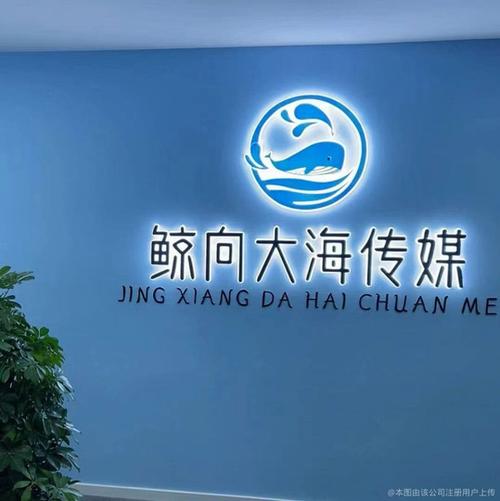 大海传媒