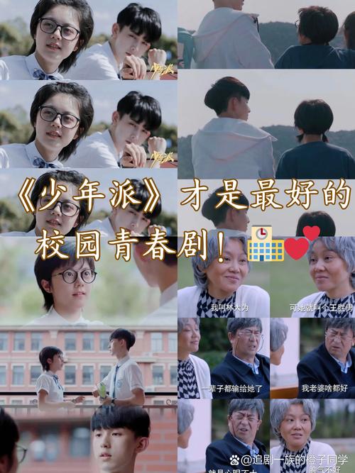 少年派评分